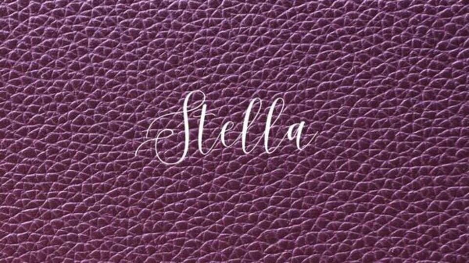 STELLA  15 ANOS. -  ALLEGRO BUFFET - SÃO CAETANO DO SUL