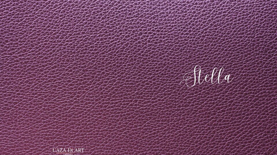 STELLA  15 ANOS. -  ALLEGRO BUFFET - SÃO CAETANO DO SUL